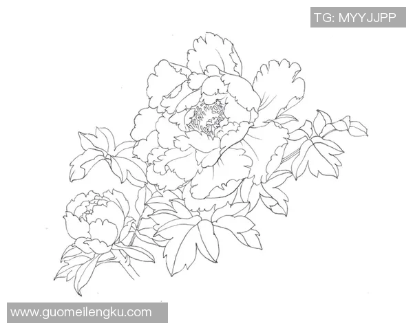 简单线条勾勒足球明星形象，带你轻松绘制最具代表性的球场传奇